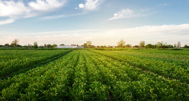 leacent Business Group