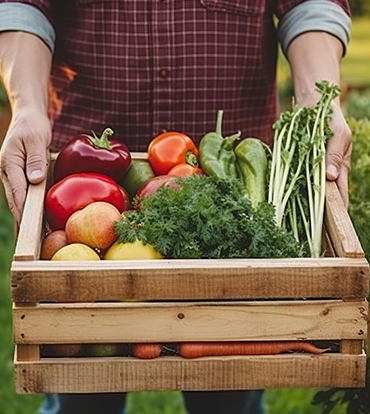 leacent Business Group