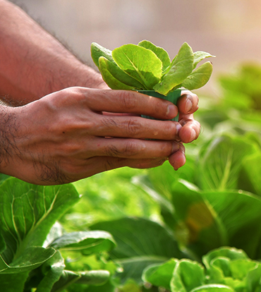 leacent Business Group