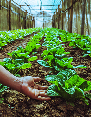 leacent Business Group