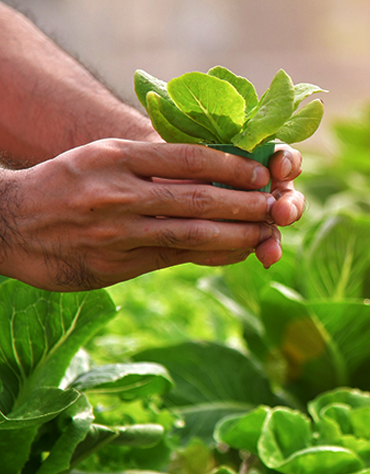 leacent Business Group