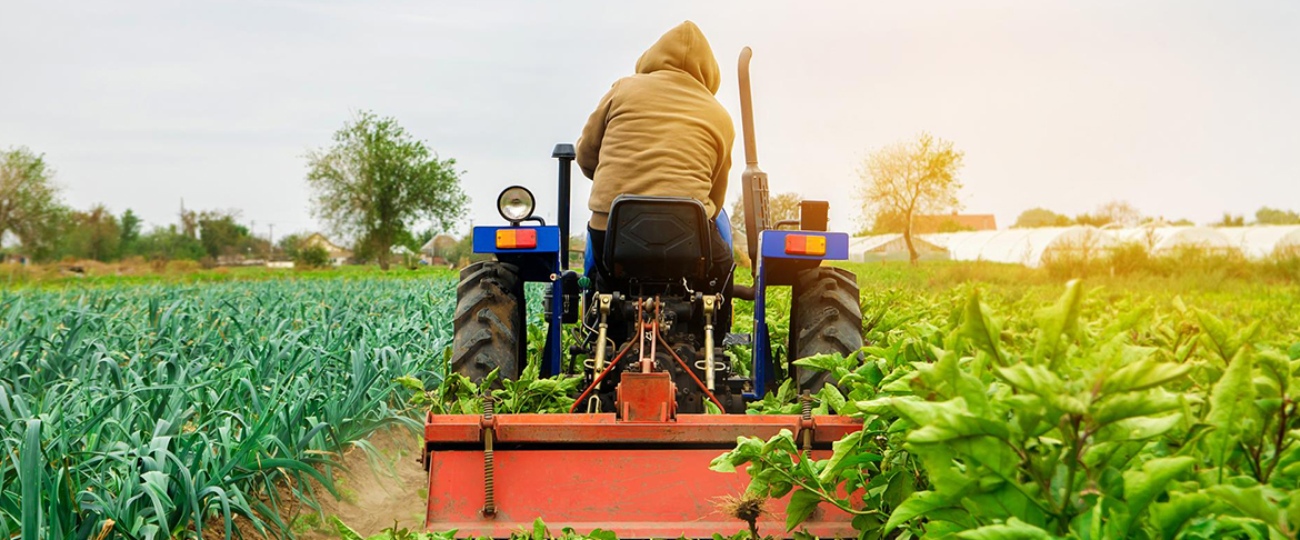 leacent Business Group