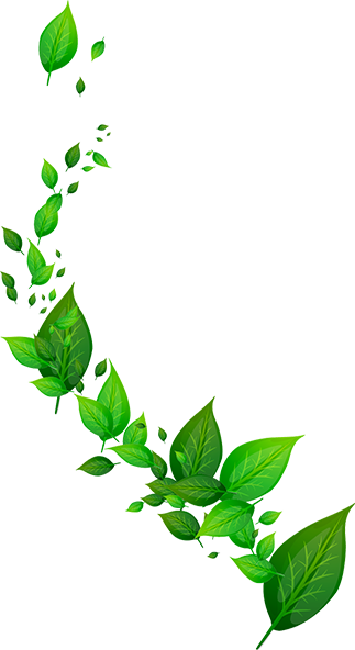 leacent Business Group