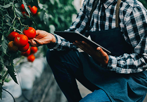 leacent Business Group