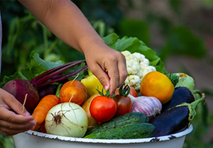 leacent Business Group