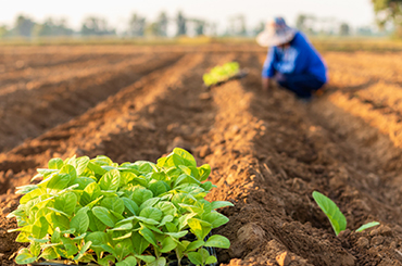 leacent Business Group