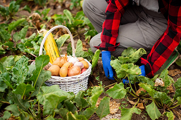 leacent Business Group