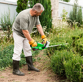 leacent Business Group